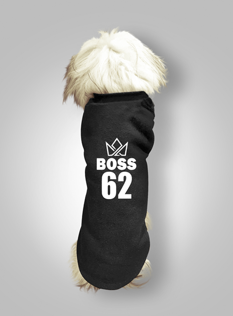 Boss kutyaruha